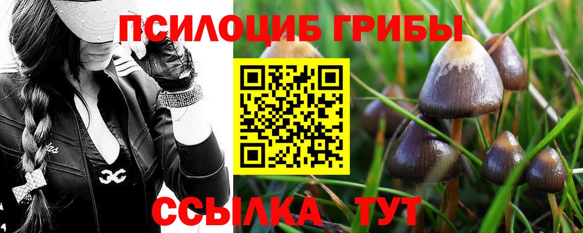 Надым  Псилоцибиновые грибы Psilocybe  где продают наркотики  Вход с VPN 